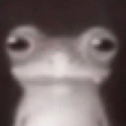 Mnn