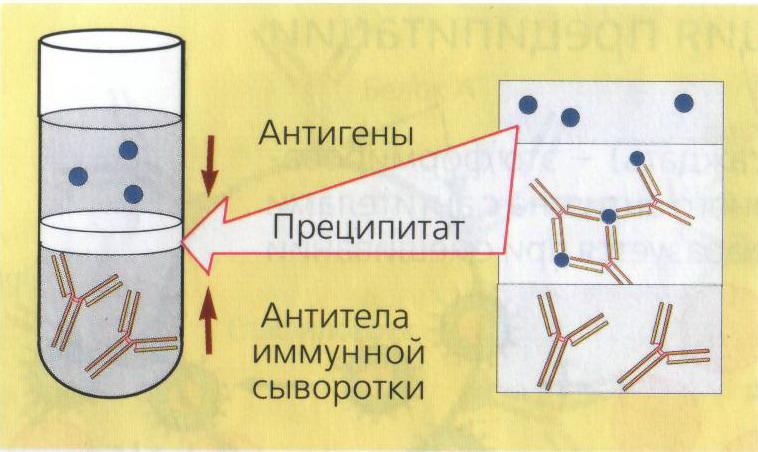 Ответ