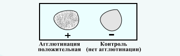Ответ