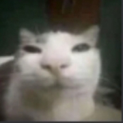 фыфа