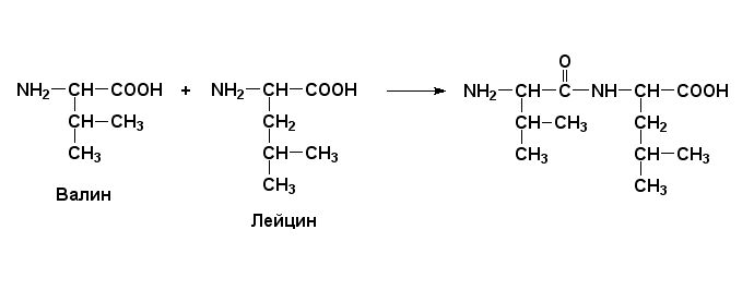 Ответ
