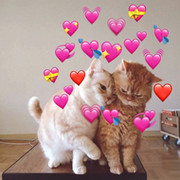 user12345